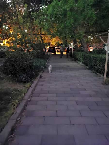 傍晚