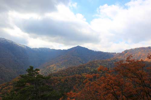 山